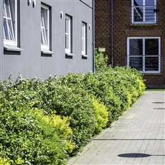 Photo 4. Apartment, Hunsballevej, Holstebro 