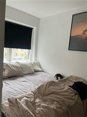 Photo 1. Apartment, Næsborgvej, Hvidovre 