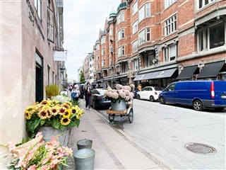Photo 20. Apartment, Vimmelskaftet, København K 