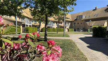 Billede 8. Hus/villa, Horsøparken, Hobro 