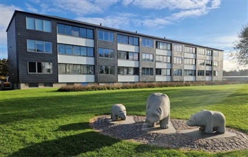 Billede 3. Lejlighed, Damtoften, Ringkøbing 