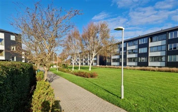Billede 4. Lejlighed, Damtoften, Ringkøbing 