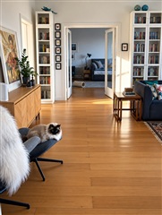 Photo 5. Apartment, Vodroffsvej, Frederiksberg C 