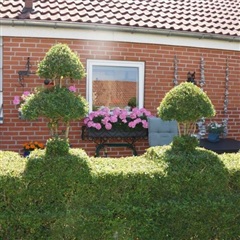 Photo 14. Apartment, Bytoften, Esbjerg V 