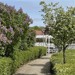 Photo 30. Apartment, Bytoften, Esbjerg V 