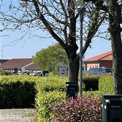 Photo 31. Apartment, Bytoften, Esbjerg V 