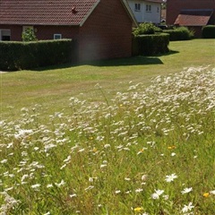 Photo 20. Apartment, Bytoften, Esbjerg V 