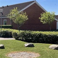 Photo 22. Apartment, Bytoften, Esbjerg V 