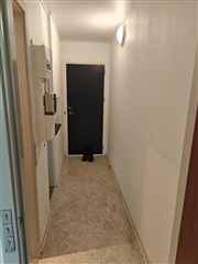 Photo 20. House, Rebslagervej, Svendborg 