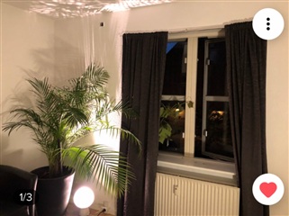Photo 3. Room, Lammegade, Roskilde 