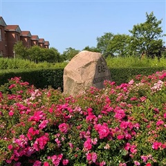 Billede 9. Lejlighed, Lykkegårdsvej, Esbjerg 