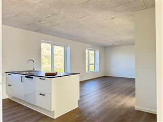 Billede 1. Hus/villa, Naturligheden, Hedensted 