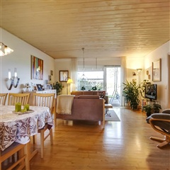 Billede 50. Lejlighed, Tingparken, Ørsted 