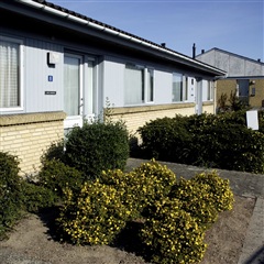 Photo 6. Apartment, Rypevænget, Tappernøje 