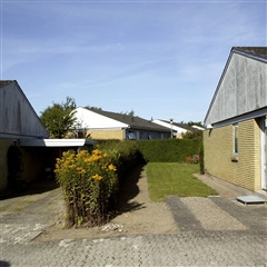Photo 5. Apartment, Rypevænget, Tappernøje 