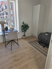 Billede 1. Værelse, Tommerupgade, Taastrup 