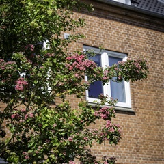 Billede 4. Lejlighed, Holbergsvej, Holstebro 