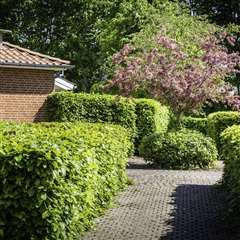 Billede 6. Lejlighed, Lauralyst, Holstebro 