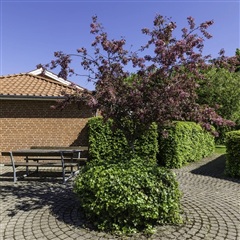 Billede 19. Lejlighed, Lauralyst, Holstebro 