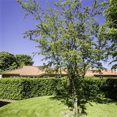 Billede 4. Lejlighed, Lauralyst, Holstebro 