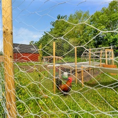 Billede 15. Hus/villa, Klosterhedevej, Lemvig 