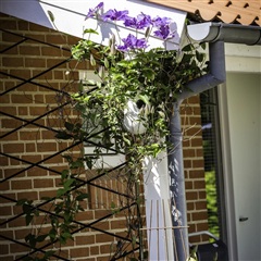 Billede 11. Lejlighed, Lauralyst, Holstebro 