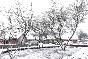 Photo 13. House, Kirketoft, Struer 