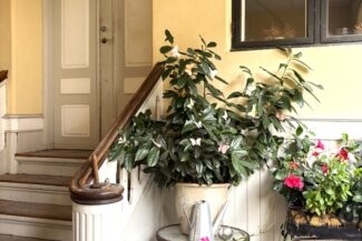 Photo 7. Apartment, Frederiksgade, Odense C 