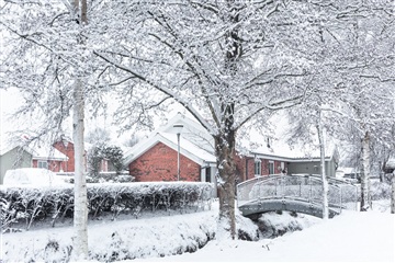 Photo 16. House, Kirketoft, Struer 
