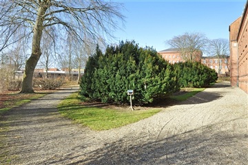 Photo 6. Apartment, Slotsgade, Haderslev 