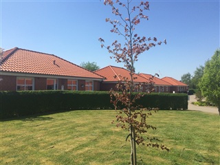 Photo 10. House, Østerrisvej, Højslev 