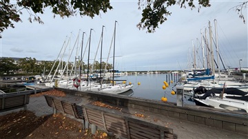 Photo 9. Apartment, Strandparksvej, Hellerup 