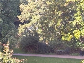 Photo 2. Apartment, Frederik VI's Alle, Frederiksberg 