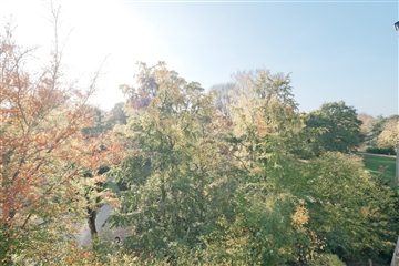 Photo 8. Apartment, Frederik VI's Alle, Frederiksberg 