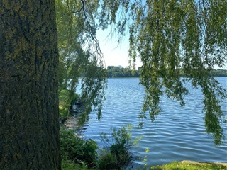 Photo 13. Apartment, St. Sct. Mikkels Gade, Viborg 