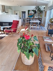 Photo 6. House, Tronkærgårdsvej, Skødstrup 