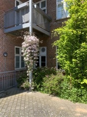 Photo 1. Apartment, Gammelting, Haderslev 