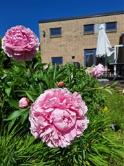 Photo 3. House, Tronkærgårdsvej, Skødstrup 