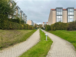 Photo 31. House, Slåenhøj, Nivå 