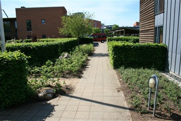 Billede 15. Lejlighed, Thrigesvej, Herning 