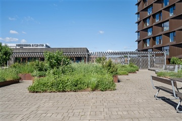 Photo 9. Apartment, Borgmestervangen, København N 