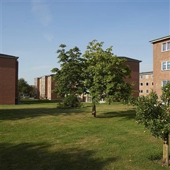 Photo 6. Apartment, Nørvang, Esbjerg 