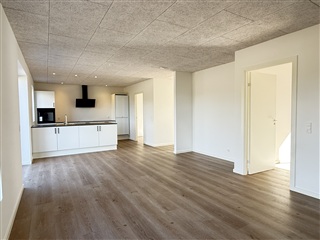 Photo 4. House, Naturligheden, Hedensted 