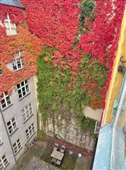 Photo 8. Apartment, Olfert Fischers Gade, København K 