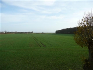 Photo 3. Apartment, Hovvej, Rødvig Stevns 