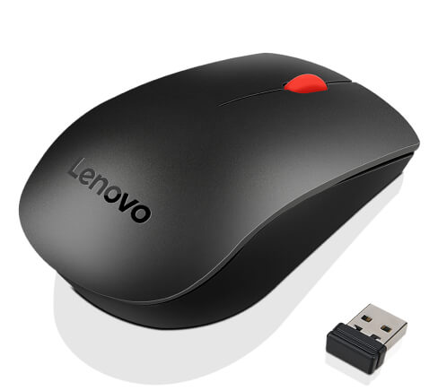 mouse
