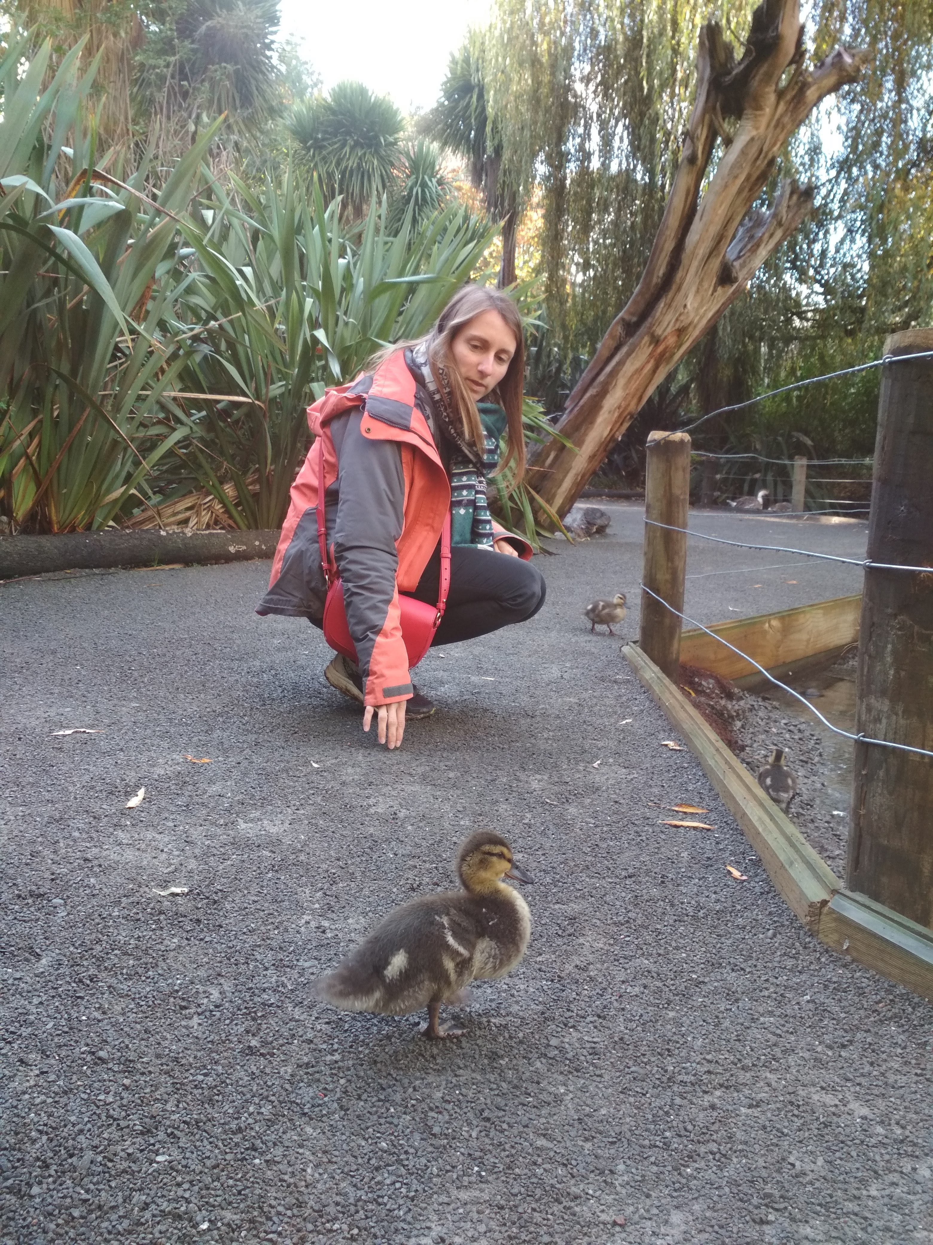 Willowbank Wildlife Reserve Willowbank Wildlife Reserve