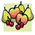 fruit