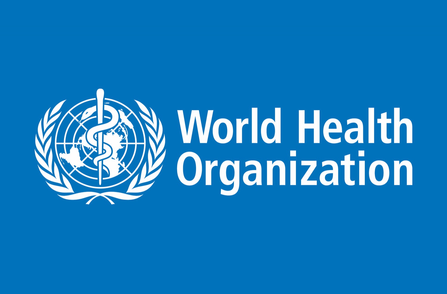 4.1. World Health Organization (WHO) guidelines