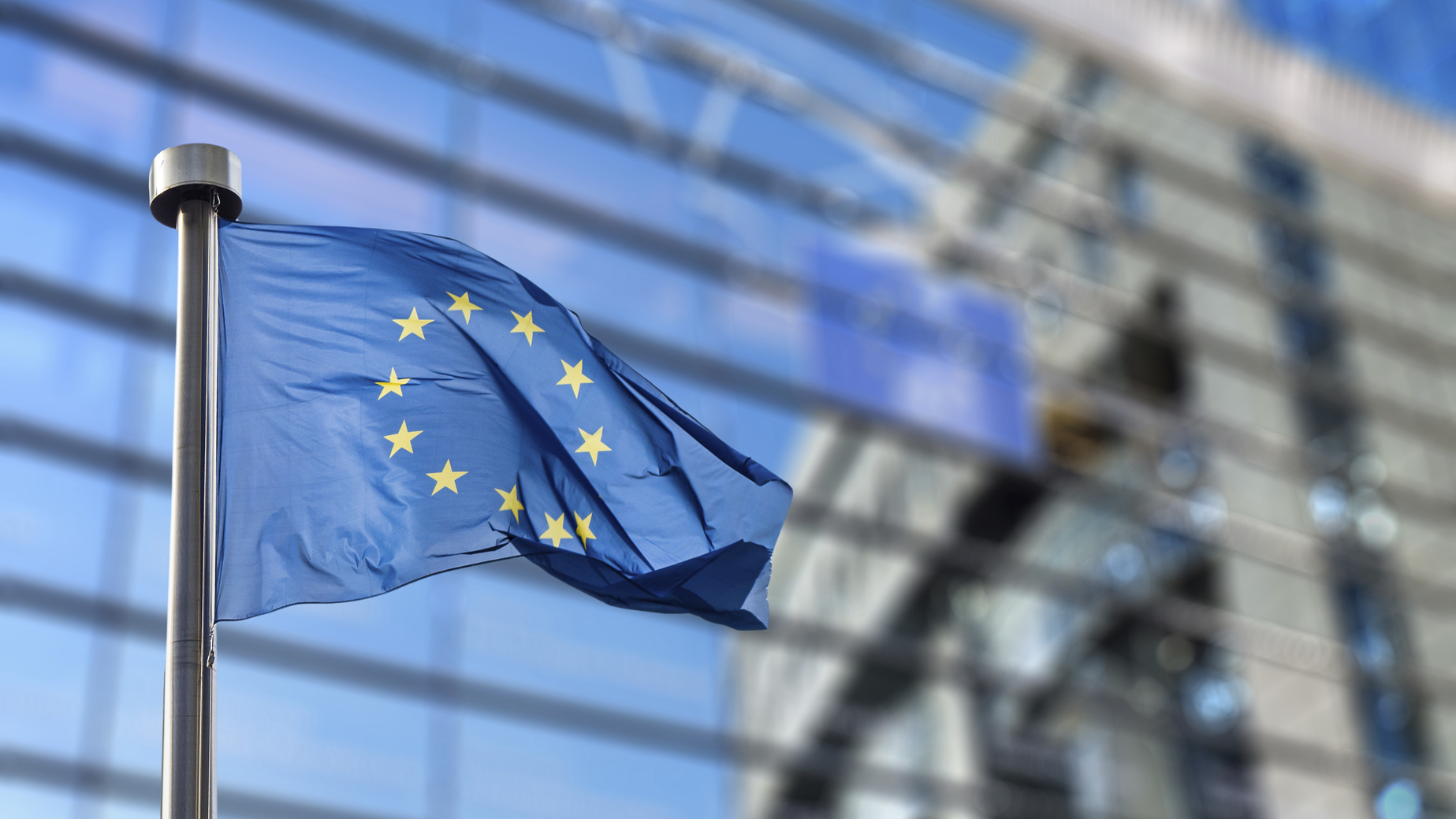 4.2. European Union (EU) guidelines - immagine 1